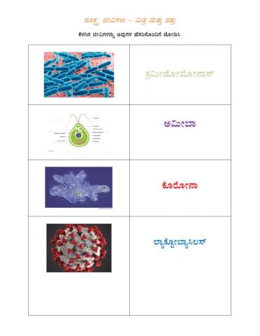 Identification of Microbes