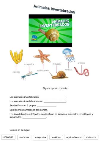 Animales invertebrados