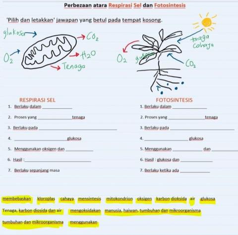 Resiprasi vs fotosintesis