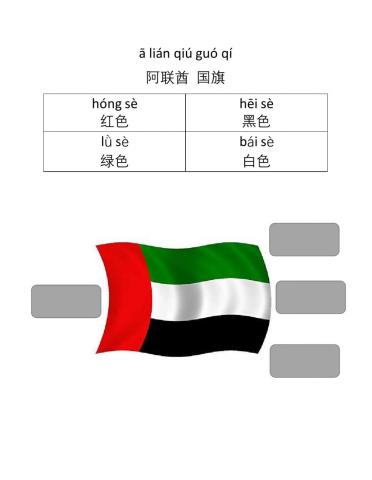 Uae flag