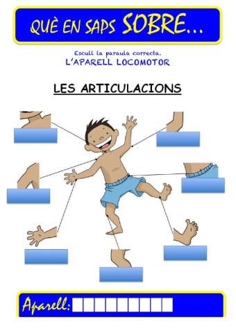 Que saps sobre...Aparell Locomotor-Articulacions 03