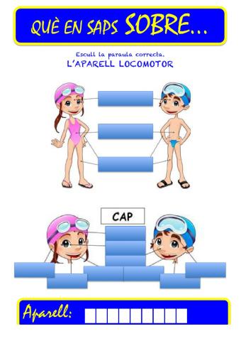 Que saps sobre...Aparell Locomotor-Parts del Cos (4)