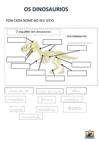 Ósos dos dinosaurios