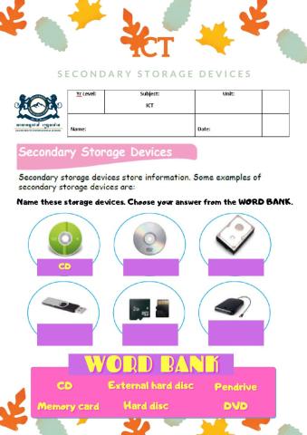 Secondary Storage Devices