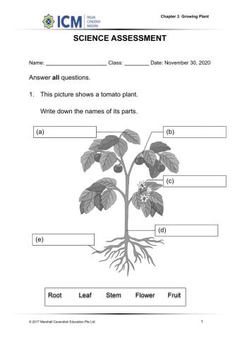 Unit 3 : Growing Plant