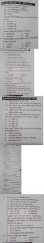 Ulangan Harian Bahasa Indonesia