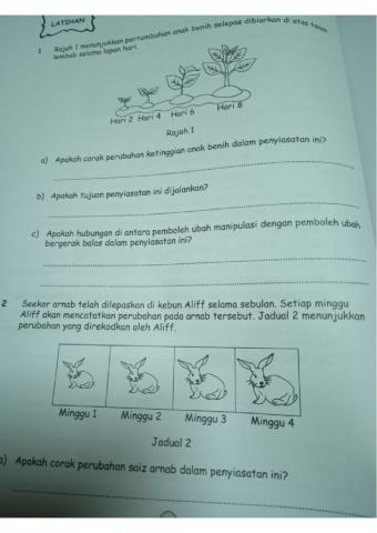 Kertas 2 sains