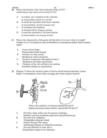 Bio k1