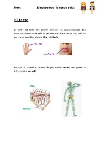 El sentit del tacte