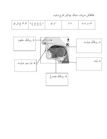 Makhraj Huruf Tahun 4