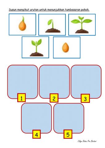 Tumbesaran pokok