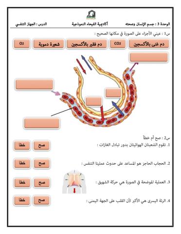 الجهاز التنفسي