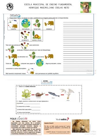 Texto cadeia alimentar