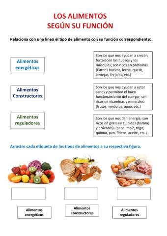 Tipos de alimentos