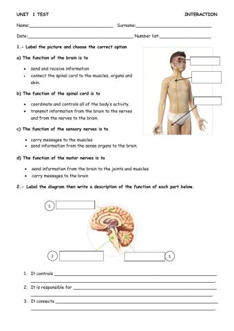 Unit 1 interaction