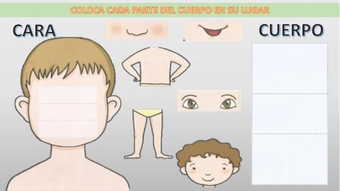 El cuerpo humano