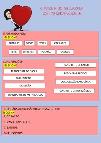 Sistema cardiovascular