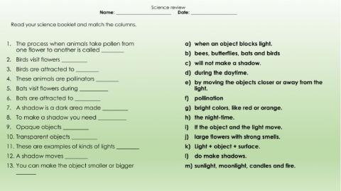 Science review 2nd grade