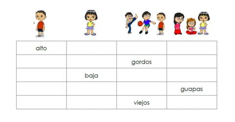 Concordancia entre sustantivos y adjetivos