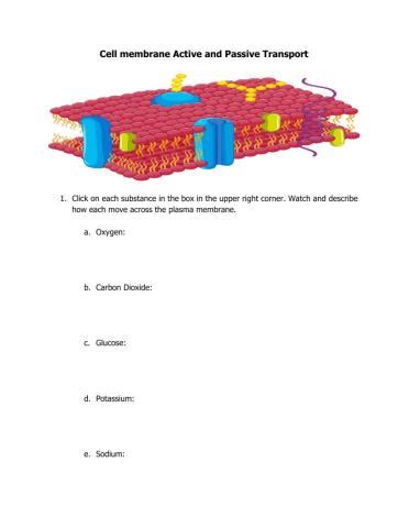 Cell Membrane - Active Passive Transport