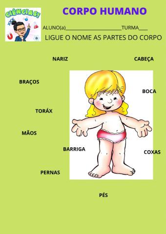 Partes do corpo