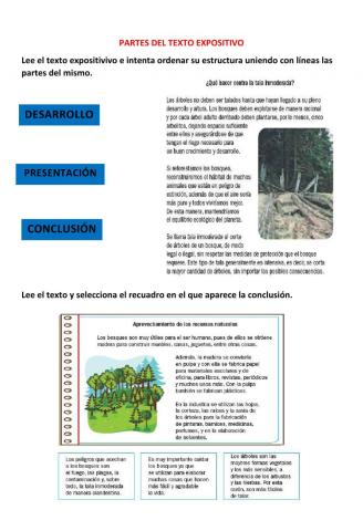 Partes del texto expositivo