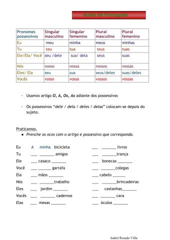 Pronomes possessivos