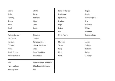 Vocabulary Science