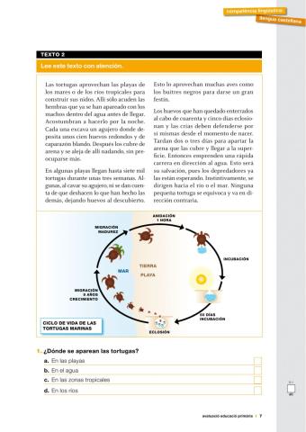 Comprensión lectora 4