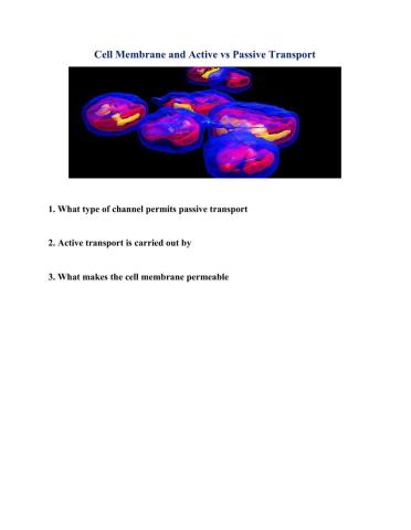 Cell membrane - Active vs Passive Transport Bell Ringer