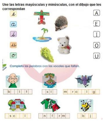 Evaluacion trimestre 1 1° español