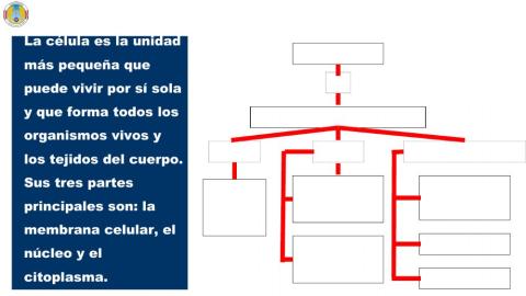 Mapa conceptual