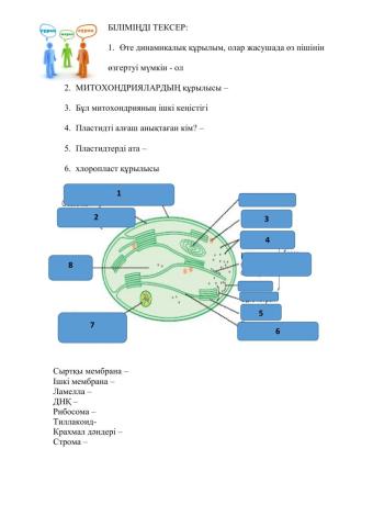 Биология