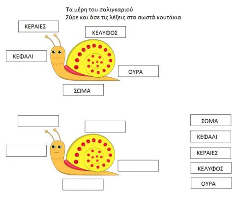 Το σαλιγκάρι