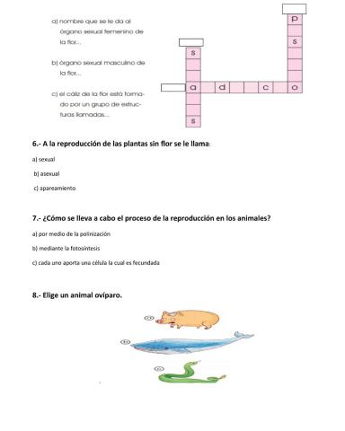 Naturales cuarto