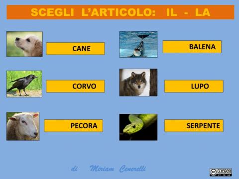 Scegli l'articolo adatto ad ogni animale