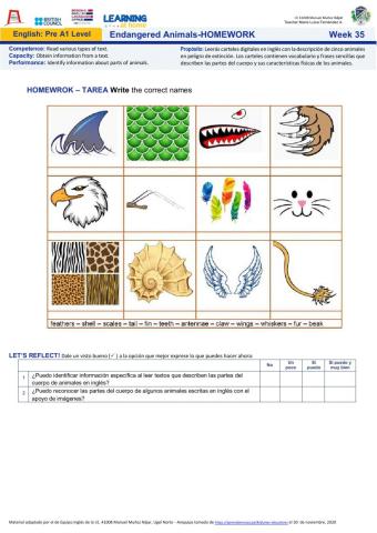 Week35: Endangered Animals - HOMEWORK MMN- Nivel Pre A1