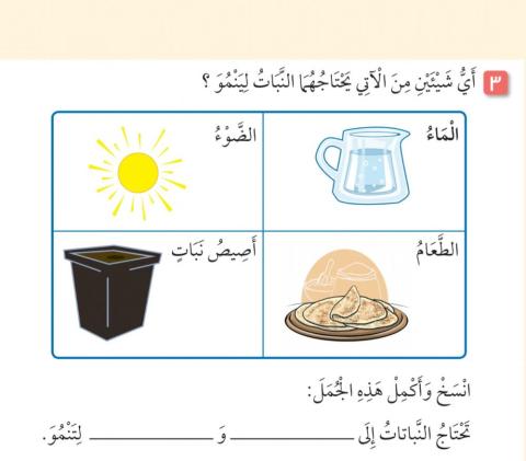 النباتات تحتاج الى الضوء