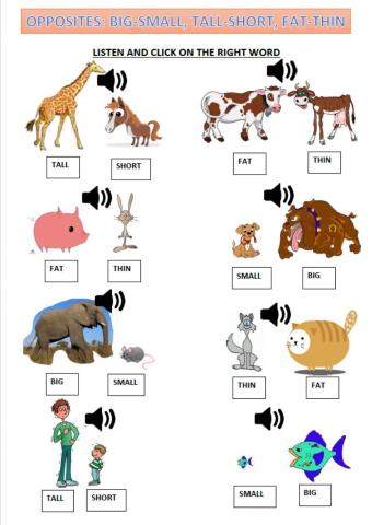 Opposites: Big-small, tall-short, fat-thin