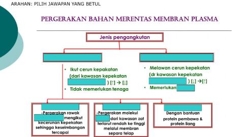 Pengangkutan pasif dan aktif