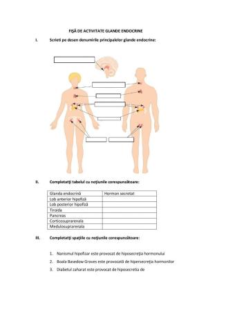 Fisa de activitate glande endocrine