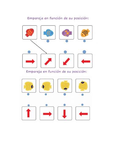 Ficha de direccionalidad.