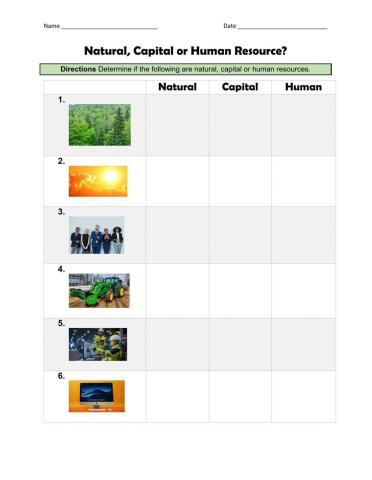 Natural, Capital or Human Resource?