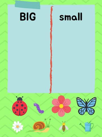 Big or Small