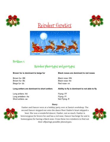 Reindeer Genetics