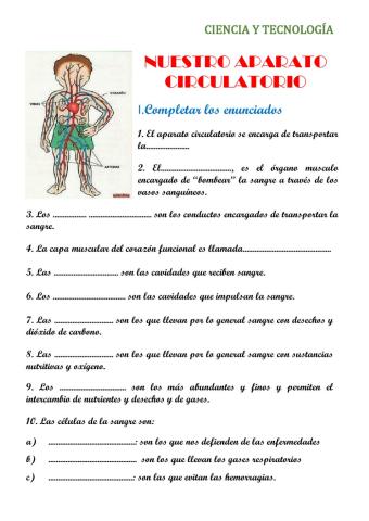 Nuestro aparato circulatorio