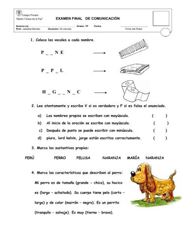 Examen final de comunicación