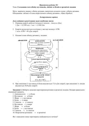 Практична робота Обмін речовин