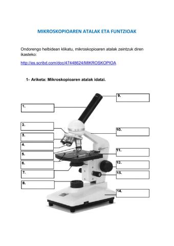 Mikroskopioa