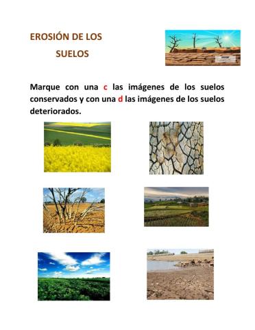 La erosion de los suelos